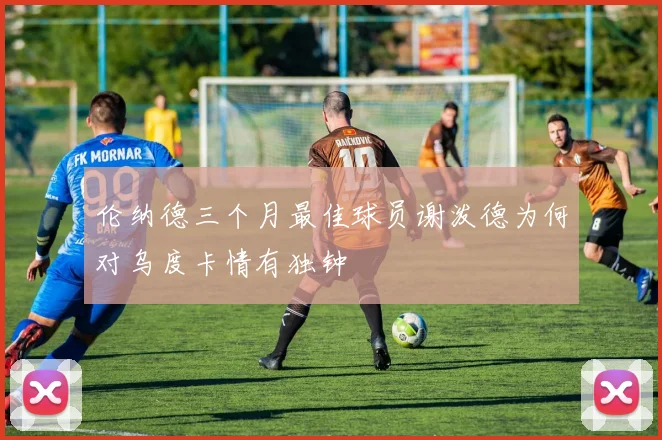 伦纳德三个月最佳球员谢泼德为何对乌度卡情有独钟