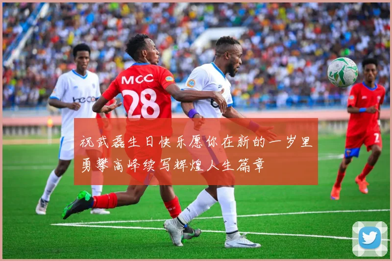 祝武磊生日快乐愿你在新的一岁里勇攀高峰续写辉煌人生篇章