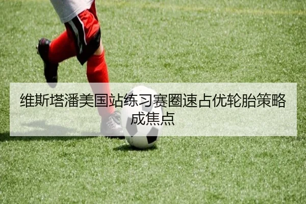 维斯塔潘美国站练习赛圈速占优轮胎策略成焦点(MILANSPORT)